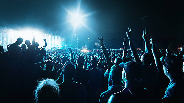 crowd at a music concert - concert stock pictures, royalty-free photos & images