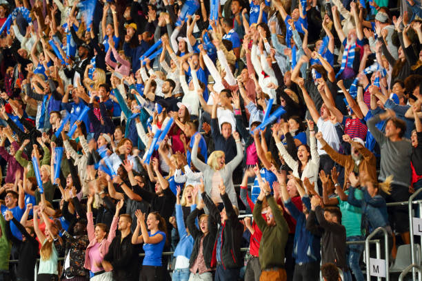 crowd cheering - concert stock pictures, royalty-free photos & images