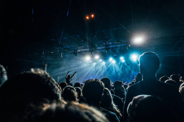 crowd enjoying music concert - concert stock pictures, royalty-free photos & images