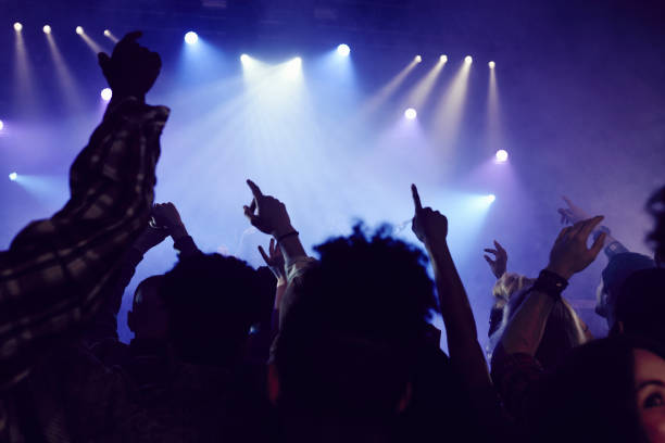 crowd of people at music concert - concert stockfoto's en -beelden