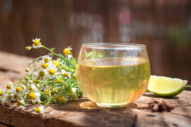 cup of tea with chamomile flower - garden decoration stock pictures, royalty-free photos & images