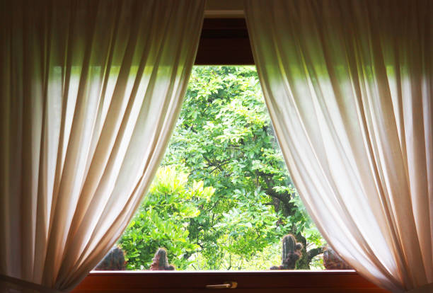 curtained window with view on garden - garden decoration stock pictures, royalty-free photos & images