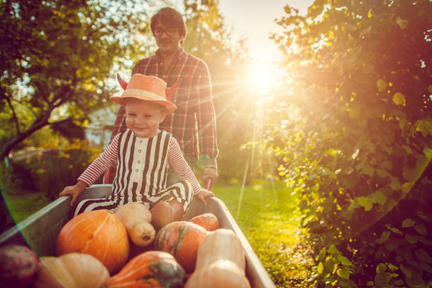 cute boy and his father with pumpkins in autumn - garden decoration stock pictures, royalty-free photos & images