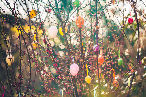 decorated branch with easter eggs - garden decoration stock pictures, royalty-free photos & images