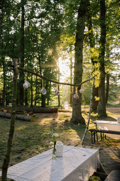 decorated picnic tables in the woods - garden decoration stock pictures, royalty-free photos & images