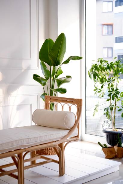 decorative home - home decoration stockfoto's en -beelden
