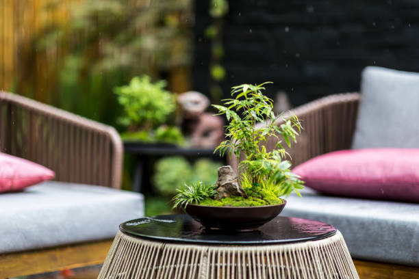 designed space for relax in modern garden - garden decoration stock pictures, royalty-free photos & images