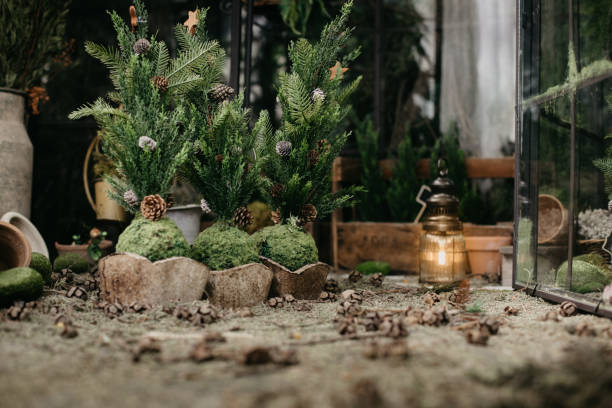 detail of little christmas trees and floor in a greenhouse - garden decoration stock pictures, royalty-free photos & images