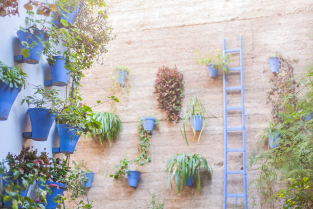 detail of pots and flowers in a cordoban patio. - garden decoration stock pictures, royalty-free photos & images