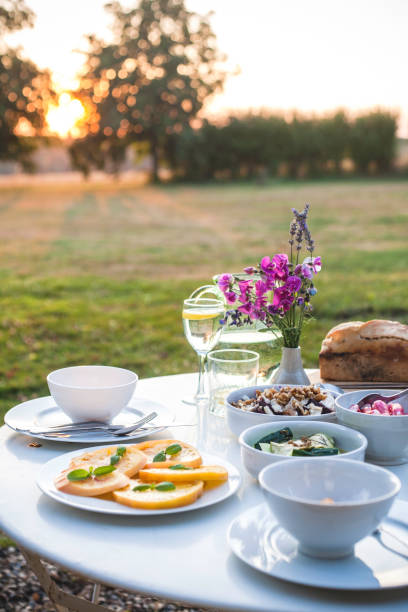 dinner at sunset, loire valley - garden decoration photos et images de collection
