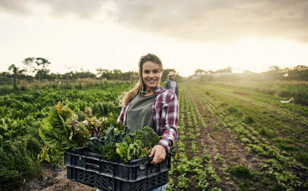 don’t forget to support your local organic farmer - food stock pictures, royalty-free photos & images