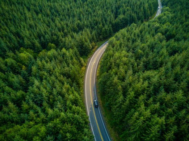 driving through forest - aerial view - travel stock pictures, royalty-free photos & images