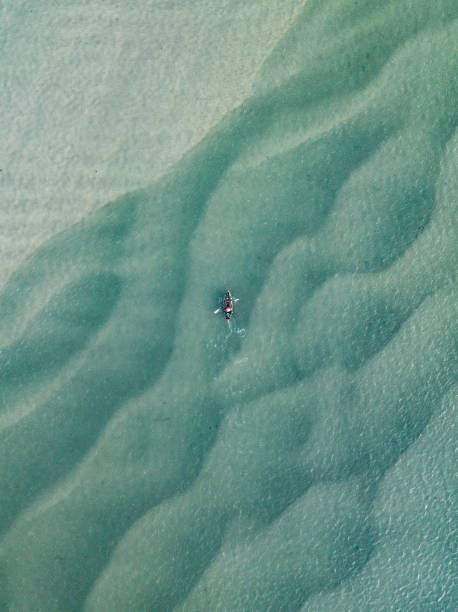 drone image looking down on a kayaker in the noosa river, queensland, australia - travel stock pictures, royalty-free photos & images