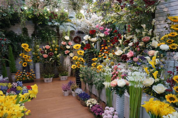 dsc09643.jpg - garden decoration stock pictures, royalty-free photos & images