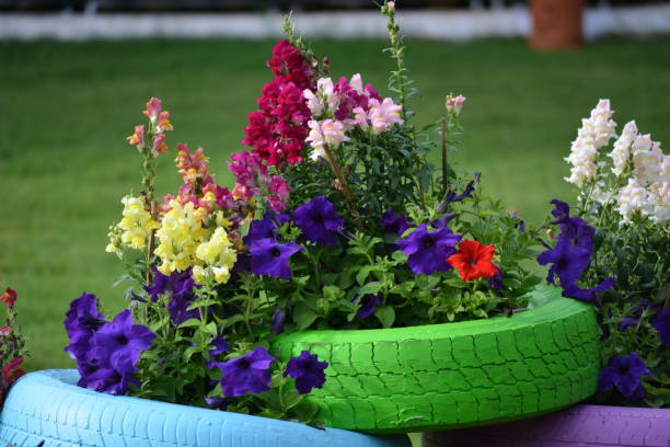 dsc_0600.jpg - garden decoration stock pictures, royalty-free photos & images