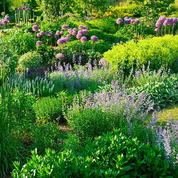 early summer flower garden - iii - garden decoration stock pictures, royalty-free photos & images