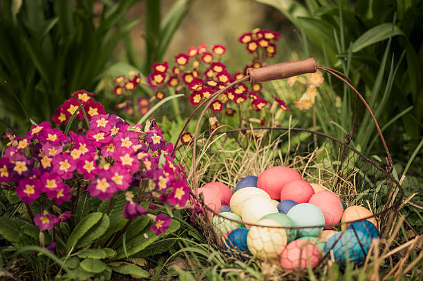 easter basket in garden - garden decoration stock pictures, royalty-free photos & images