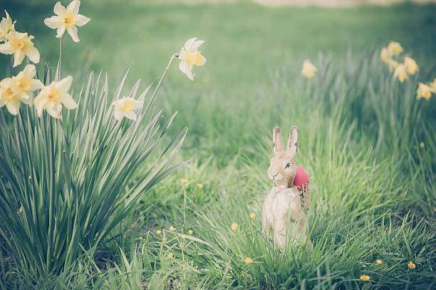 easter bunny in garden - garden decoration stock pictures, royalty-free photos & images