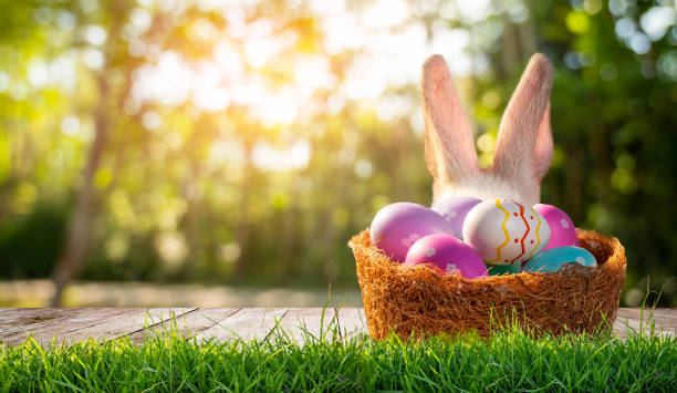 easter day, wooden table on a background with eggs rabbit in the lawn on a sunny day - home decoration stock pictures, royalty-free photos & images