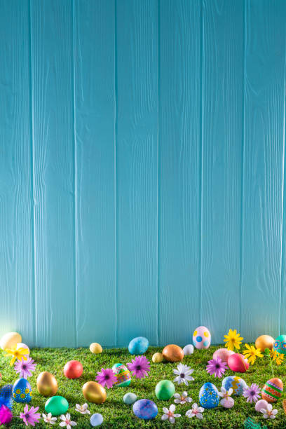 easter eggs on turf grass and blue wooden wall with spring flowers - garden decoration stock pictures, royalty-free photos & images