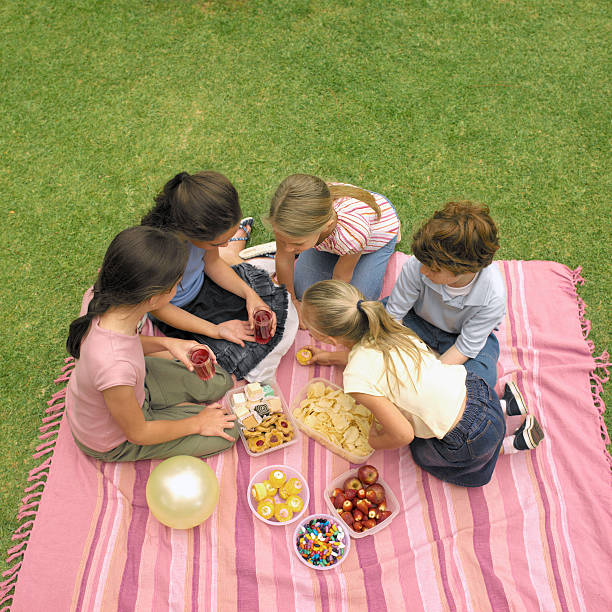 elevated view of five children having picnic in garden (8-12) - garden decoration stockfoto's en -beelden