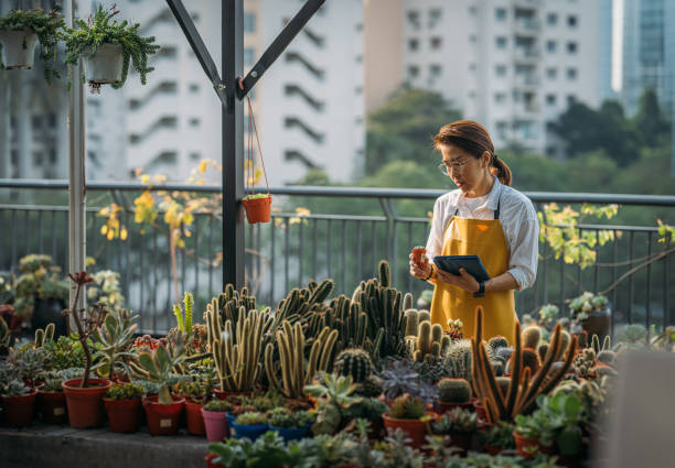 empowering growth: the blossoming journey of an asian female plantpreneur - garden decoration stock pictures, royalty-free photos & images