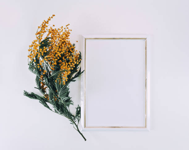 empty white wooden frame and yellow mimosa flowers on white top view background with copy space. flatlay mockup - home decoration stock pictures, royalty-free photos & images