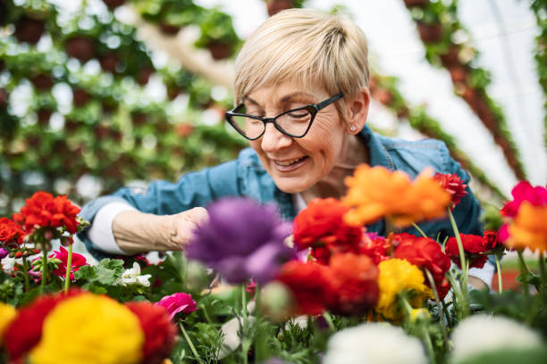 enjoying in flower scents - garden decoration stock pictures, royalty-free photos & images