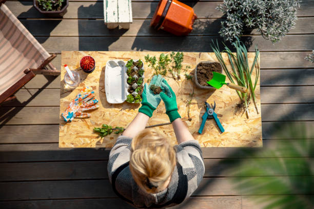 enjoying in gardening hobby - garden decoration stock pictures, royalty-free photos & images