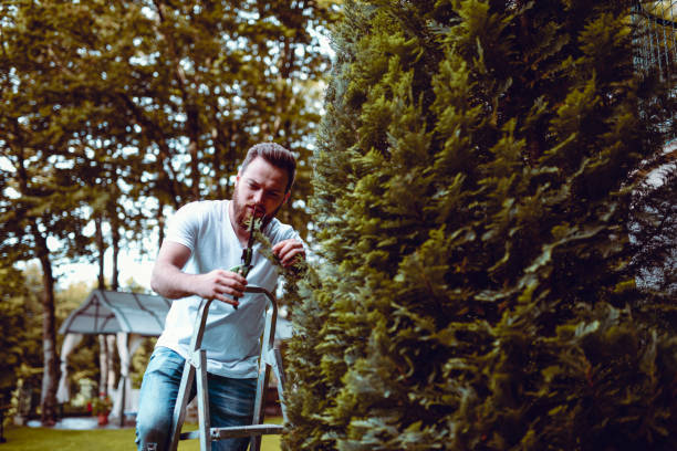 enjoying while decorating my garden - garden decoration stock pictures, royalty-free photos & images