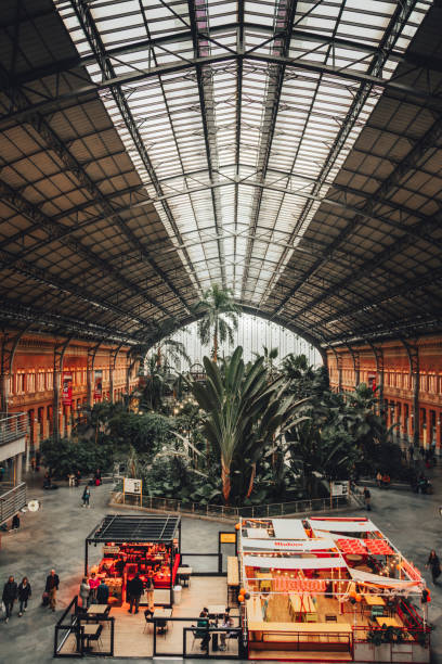 estación madrid puerta de atocha - atocha train station and botanical garden in madrid, spain - garden decoration stock pictures, royalty-free photos & images
