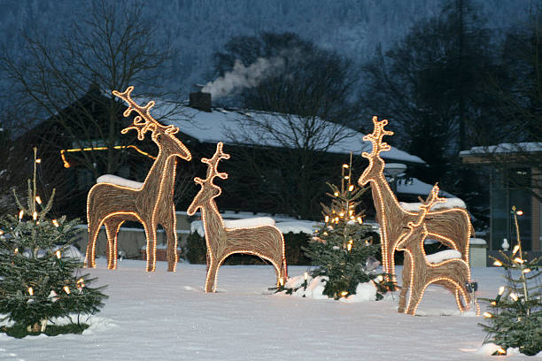 fabulous christmas - garden decoration stock pictures, royalty-free photos & images