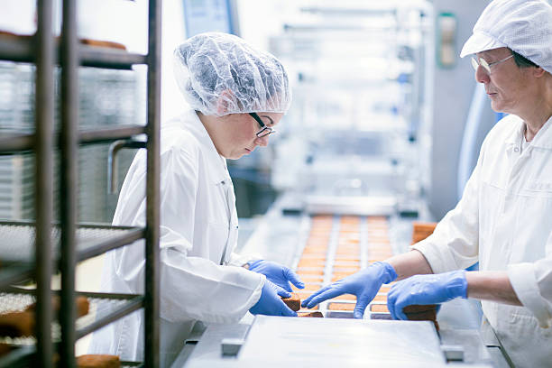 factory workers on food production line - food stock pictures, royalty-free photos & images