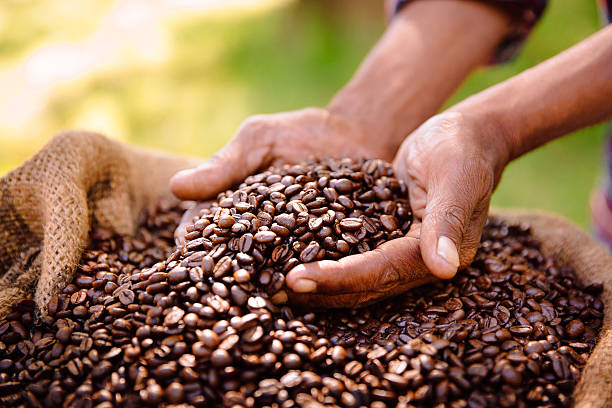 fair trade farming is best for coffee bean produce - coffee stock pictures, royalty-free photos & images
