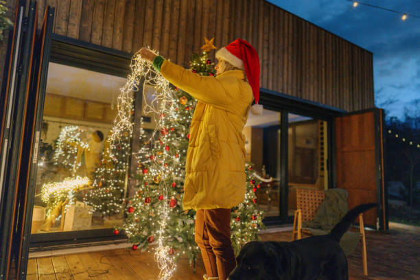 fairy lights on christmas nights - garden decoration stock pictures, royalty-free photos & images