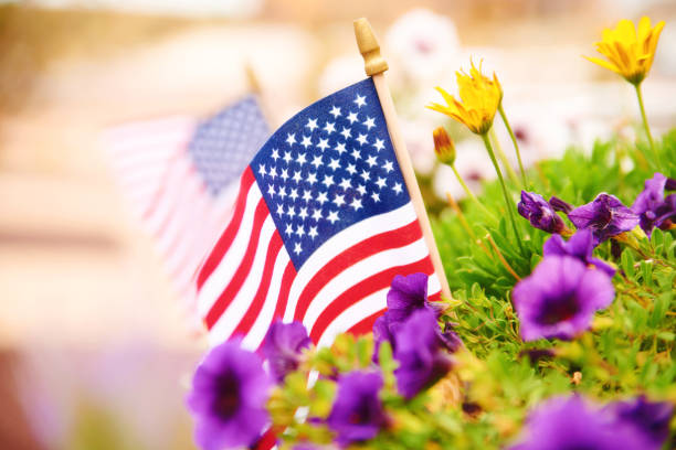 fall background with american flags amongst vibrant petunias. space for text - garden decoration stock pictures, royalty-free photos & images