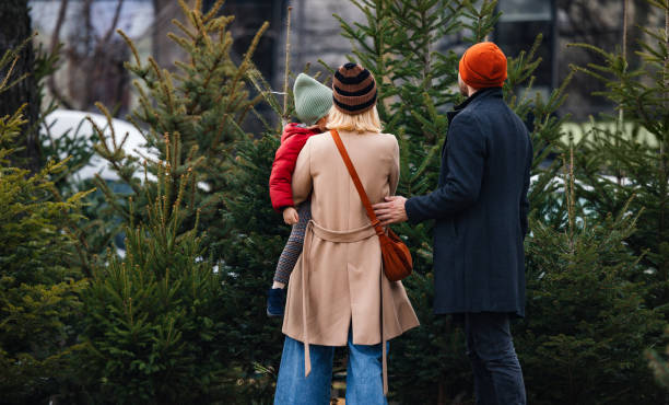 family choosing christmas tree for holiday celebration outdoors - garden decoration stock pictures, royalty-free photos & images