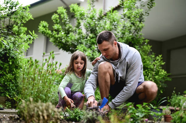 family gardening in a back yard. - home decoration stock pictures, royalty-free photos & images