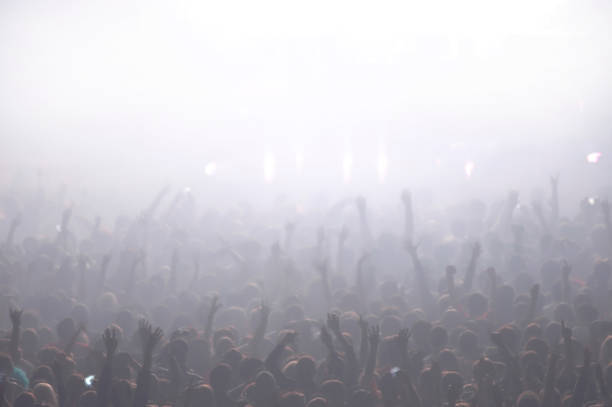 fans cheering at a rock concert - concert stock pictures, royalty-free photos & images