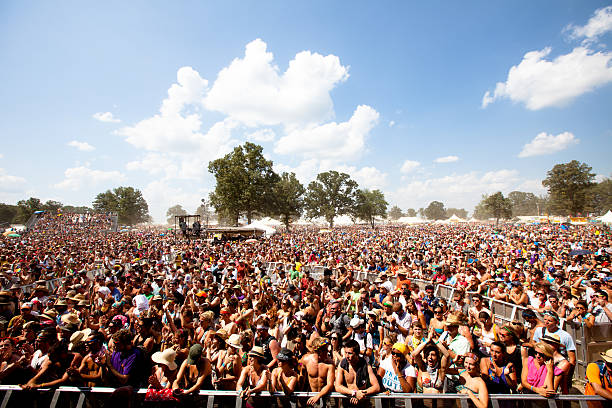 fans waiting for the next performance at bonnaroo music festival - concert stock pictures, royalty-free photos & images