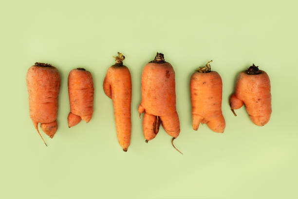 farm fresh ugly carrots bent and twisted - food stock pictures, royalty-free photos & images