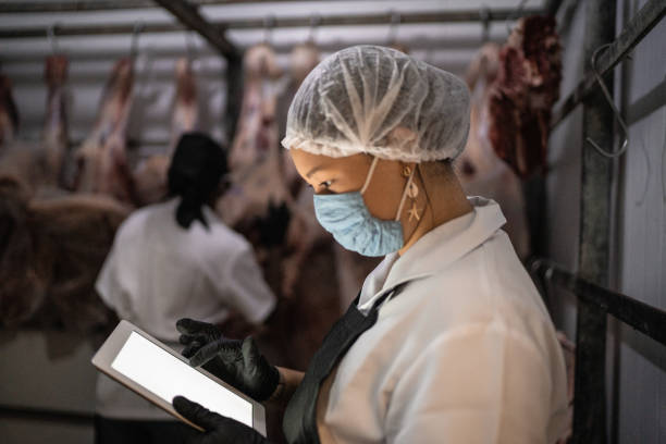 female butcher using digital tablet with face mask at cold storage - food stock pictures, royalty-free photos & images