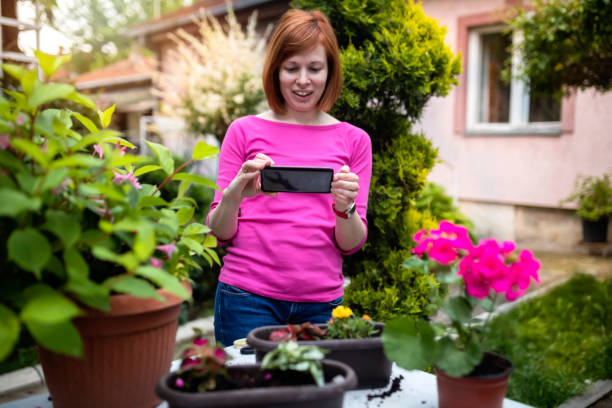 female gardener - garden decoration stock pictures, royalty-free photos & images