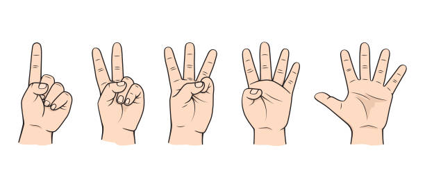 fingers for teaching early counting in children education stock illustration hands - body parts number 0, 1, 2, 3, 4, 5 - nails art stock illustrations
