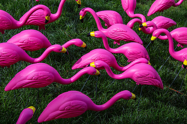 flock of pink plastic flamingos - garden decoration stock pictures, royalty-free photos & images