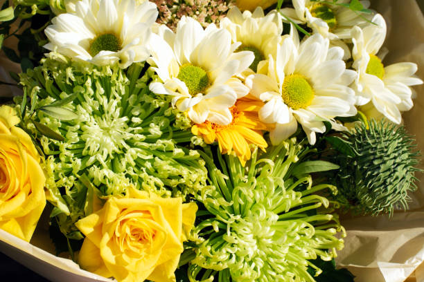 floral arrangement with daisies, chrysanthemums and roses. beautiful bouquet. flower delivery. florist. present. surprise. holiday. - garden decoration stock pictures, royalty-free photos & images