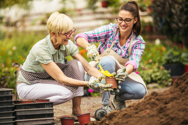 florists working at botanical garden - garden decoration stock pictures, royalty-free photos & images