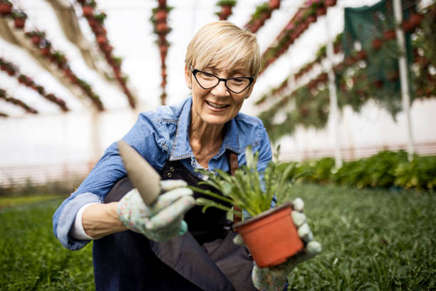 florists working with gardening tools - garden decoration stock pictures, royalty-free photos & images