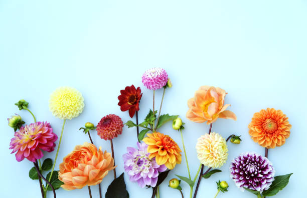 flower arrangement - garden decoration stock pictures, royalty-free photos & images