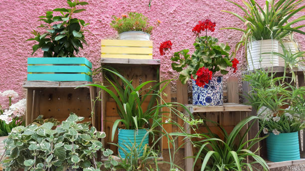 flower pots arrangement in a street of orbetello, italy - garden decoration stock pictures, royalty-free photos & images